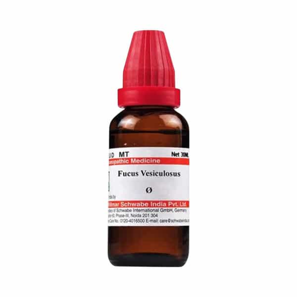 Dr. Willmar Schwabe India Fucus Vesiculosus Mt 30Ml