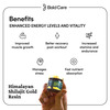 Bold Care 100% Pure Himalayan Shilajit Gold Resin|For Stamina | Metabolism & Muscle Recovery - 20G