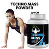 Riffway Techno Mass Weight Gain Powder | Minimizing The Risk Of Unhealthy Fat Accumulation (3X200gm)