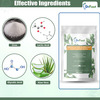 Dr Foot Exfoliating Foot Mask Sock With Urea Lactic Acid Glycolic Acid And Aloe Vera