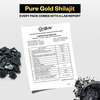 Oribite Gold Shilajit Resin With 24k Gold For Vitality 20g