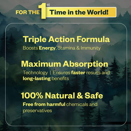 Oribite Gold Shilajit Resin With 24k Gold For Vitality 20g