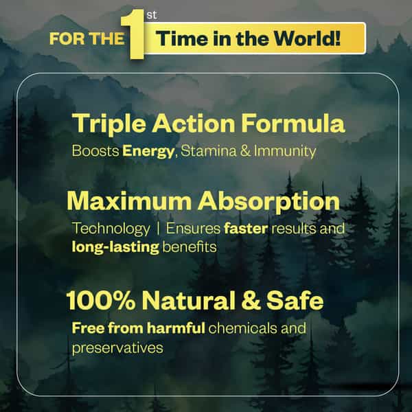 Oribite Gold Shilajit Resin With 24K Gold For Vitality 20G