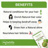 Indigo Powder For Black Hair - 200 Gm