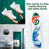 Cif Ocean Cream Multipurpose Surface Cleaner For Tough Stains Natural Particles 500ml