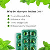 Dr. Morepen Pudina Gels Acidity Relief Medicine For Indigestion And Gas Relief Pack Of 2 (2X10)