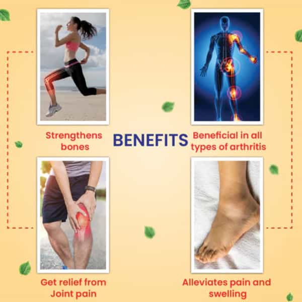 Cipzer Roghan Babuna 20Ml | Supports Joint Comfort| Mobility & Overall Wellness