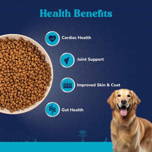 Carniwel Fresh Chicken Adult Dry Dog Food 3Kg | Natural Ingredients For Optimal Skin & Coat Health