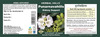 Herbal Hills Punarnava Capsule 60 (Pack Of 4) Kidney Care Capsules