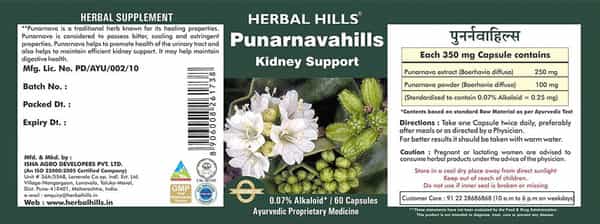 Herbal Hills Punarnava Capsule 60 (Pack Of 4) Kidney Care Capsules