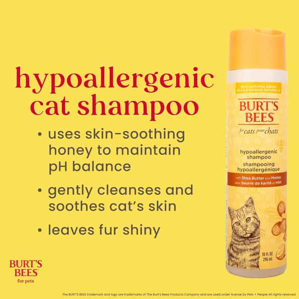 Burt's Bees Hypoallergenic Shampoo For Cats | Shea Butter & Honey | 296 Ml