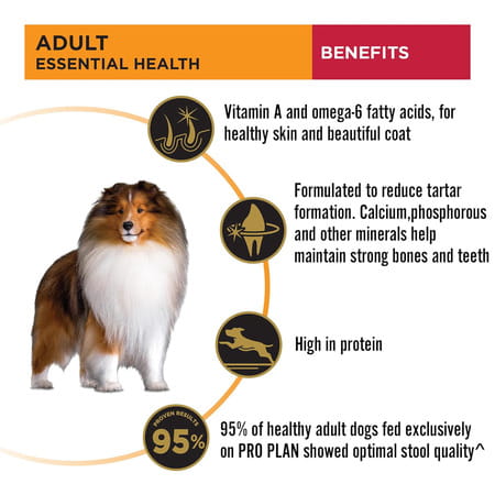 Purina Pro Plan Adult Dog Kibble Food For Medium Sized Dogs | 3Kg Pack