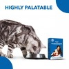 Drools Kitten Booster - Kitten Weaning Diet For All Breeds 300G