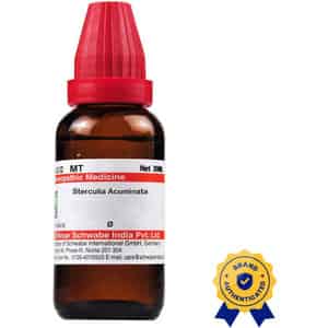 Dr. Willmar Schwabe India Sterculia Acuminata Q Mother Tincture (30 Ml)