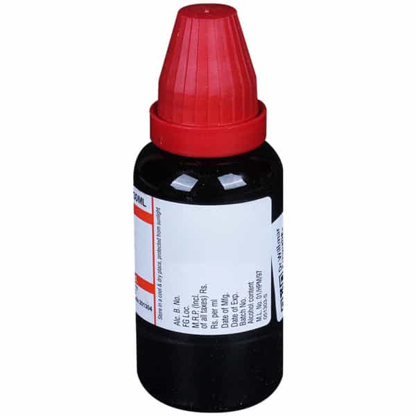 Dr. Willmar Schwabe India Baptisia Tinctoria Mother Tincture Q 30 Ml