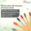 Dr. Morepen Organic Bamboo | Adults & Kids | Toothbrush | 12 No's