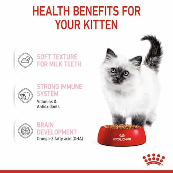 Royal Canin Kitten Gravy-Salsa-Sas Instinctive Pack | Variety Flavor | 12 X 85G