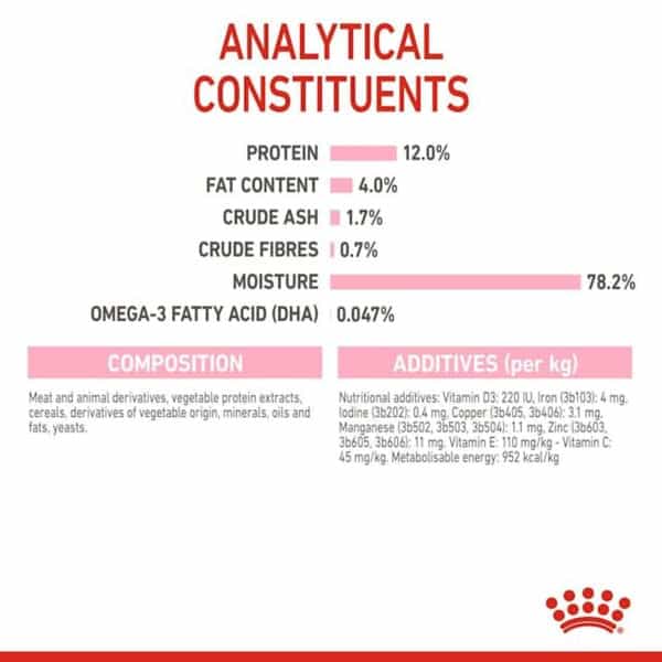 Royal Canin Kitten Gravy-Salsa-Sas Instinctive Pack | Variety Flavor | 12 X 85G