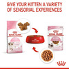Royal Canin Kitten Gravy-Salsa-Sas Instinctive Pack | Variety Flavor | 12 X 85G