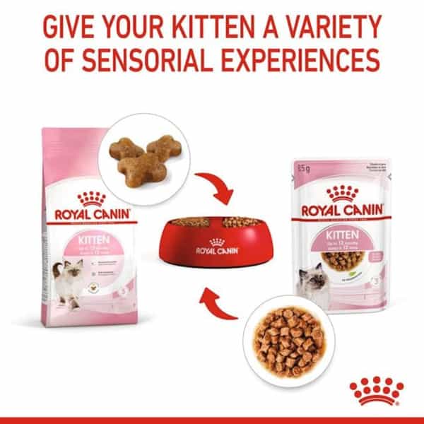 Royal Canin Kitten Gravy-Salsa-Sas Instinctive Pack | Variety Flavor | 12 X 85G