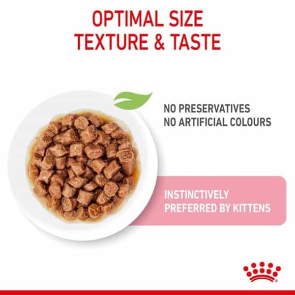 Royal Canin Kitten Gravy-Salsa-Sas Instinctive Pack | Variety Flavor | 12 X 85G