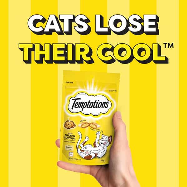 Temptations Crunchy Cat Treats | Tasty Chicken Flavour | 85 G (Pack Of 12)