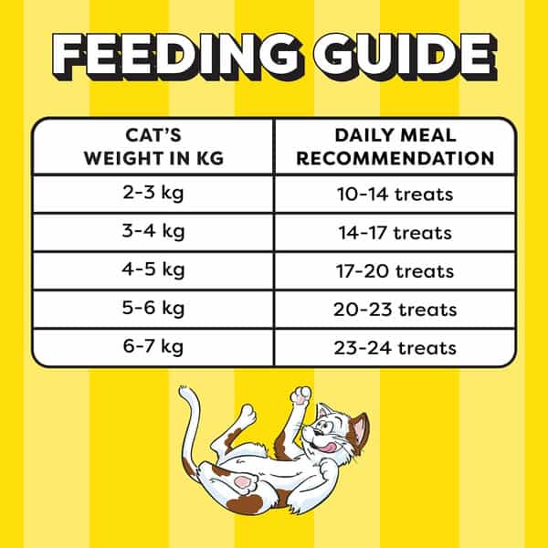 Temptations Crunchy Cat Treats | Tasty Chicken Flavour | 85 G (Pack Of 12)