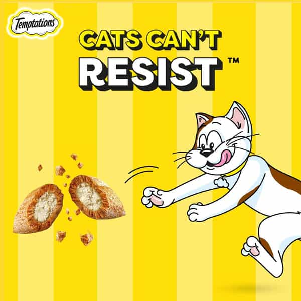 Temptations Crunchy Cat Treats | Tasty Chicken Flavour | 85 G (Pack Of 12)