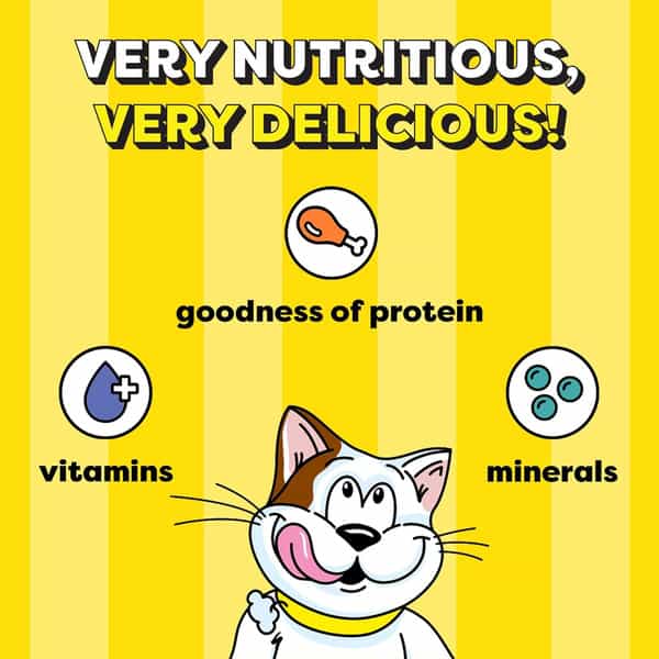 Temptations Crunchy Cat Treats | Tasty Chicken Flavour | 85 G (Pack Of 12)
