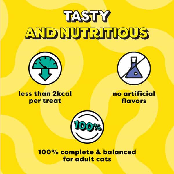Temptations Crunchy Cat Treats | Tasty Chicken Flavour | 85 G (Pack Of 12)