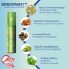 Spraymintt Mouth Freshener Thanda Pan Flavour 15Grm