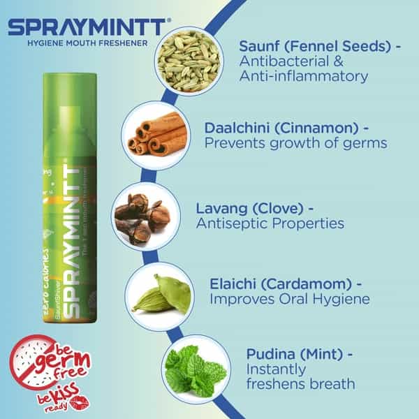 Spraymintt Mouth Freshener Thanda Pan Flavour 15Grm