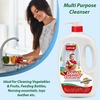 Luvlap Liquid Cleanser Anti-Bacterial Food Grade For Baby Bottles Accessories And Vegetables 1000Ml