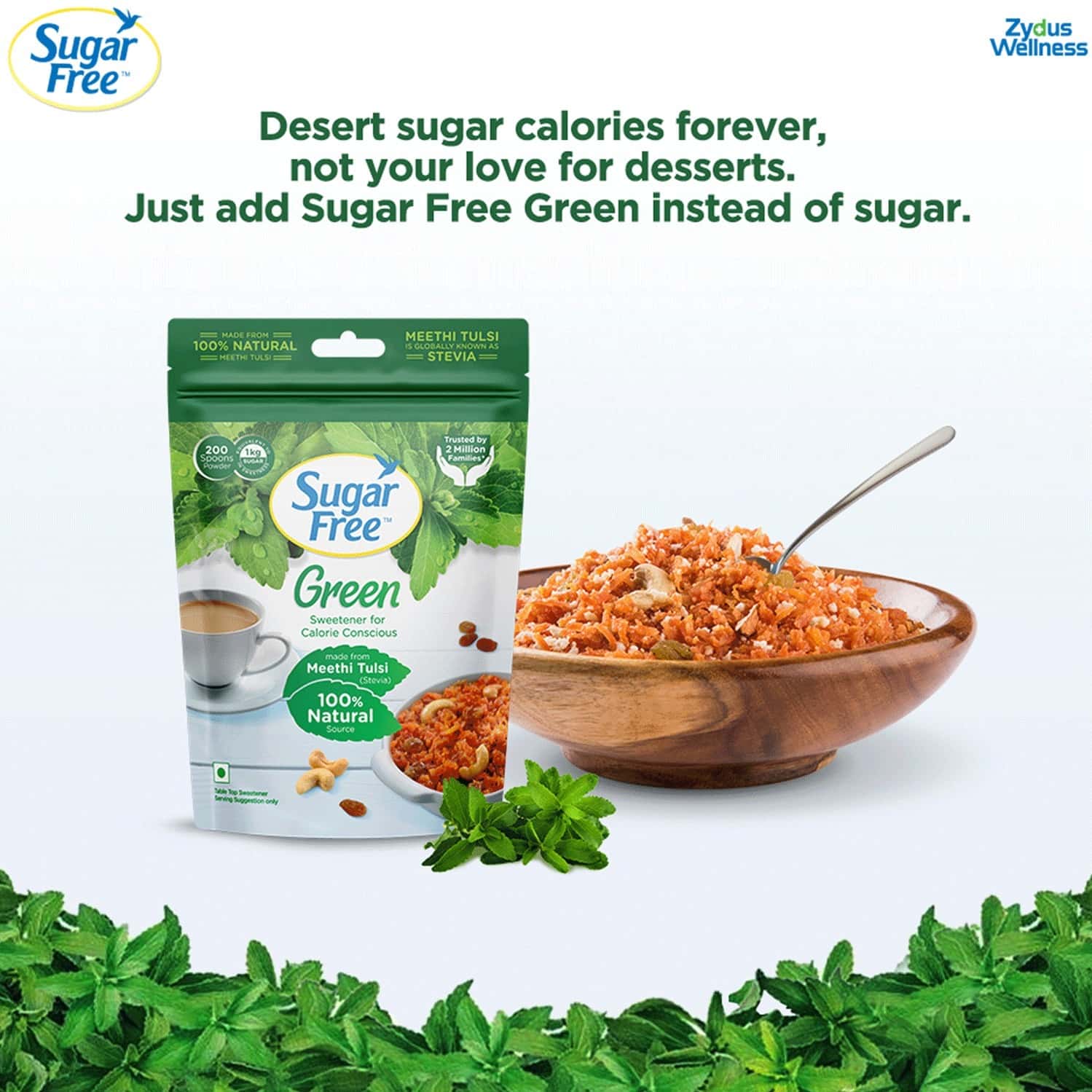 Buy SUGAR FREE GREEN MADE FROM MEETHI TULSI (STEVIA) 100 NATURAL