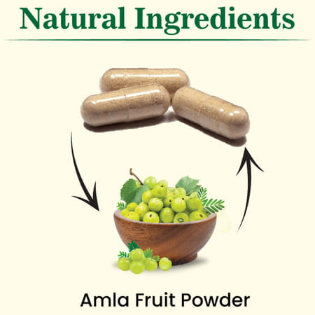 Cipzer Amla Capsule | Works Wonders On Your Immunity(Pack Of 1) -60 Capsules