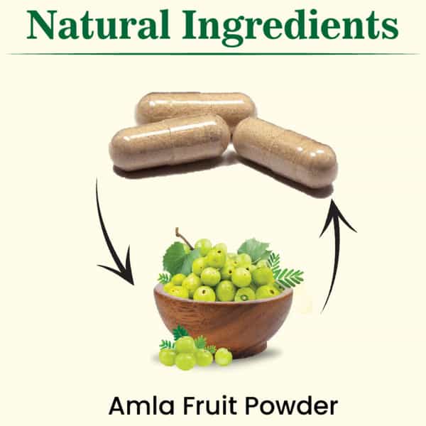 Cipzer Amla Capsule | Works Wonders On Your Immunity(Pack Of 1) -60 Capsules