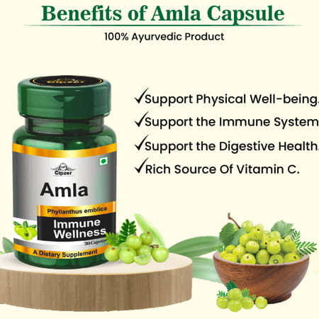 Cipzer Amla Capsule | Works Wonders On Your Immunity(Pack Of 1) -60 Capsules