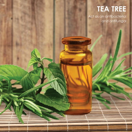 Newsecret Man Foaming Intimate Wash