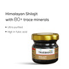 Truebasics Shilajit Resin | With 80+ Trace Minerals | For Immunity | 10 G