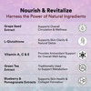 Inlife Resveratrol Supplements | 750 Mg Antioxidant Formulas | Skin | Heart Health - 60 Veg Capsule
