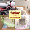 Auracam Gold Standard Camphor Pod Cone (Bhimseni) - Set Of 4