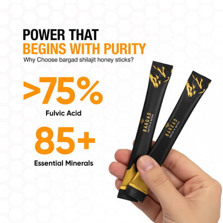 Bargad Himalayan Shilajit Honey Sticks | Third-Party Lab Tested For Purity & Potency - 30N