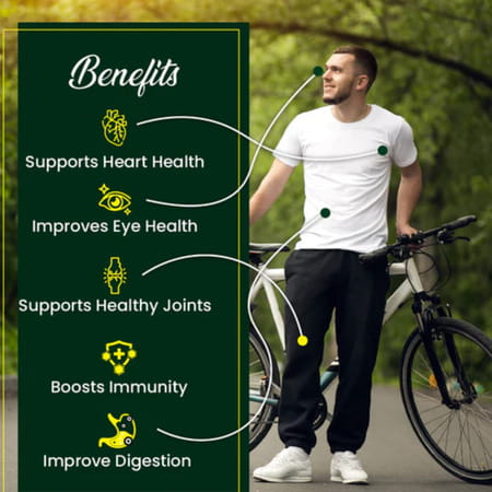 Cipzer Flaxseed 30 Capsules | Supports Heart Health & Overall Wellness