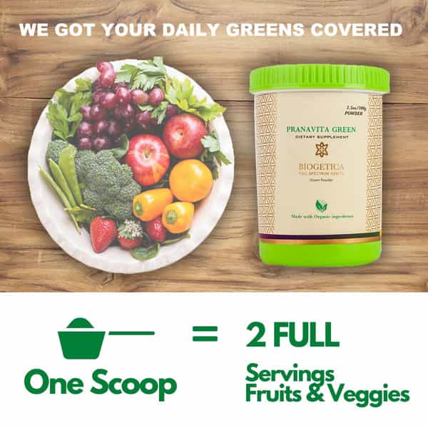Biogetica Pranavita Green Balanced Green Drink - Superfood -Anti Ageing- 3.5 Oz / 100 Gm.