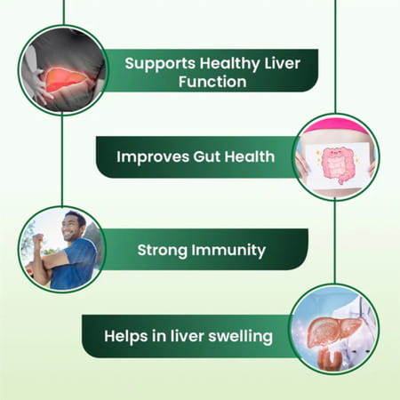 Cipzer Araq E Mako 500ml | Herbal Tonic For Liver & Digestive Health| Inflammation Relief