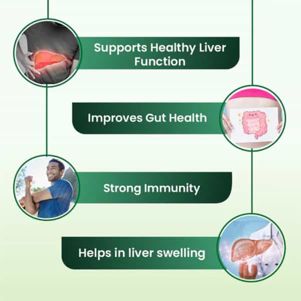 Cipzer Araq E Mako 500Ml | Herbal Tonic For Liver & Digestive Health| Inflammation Relief