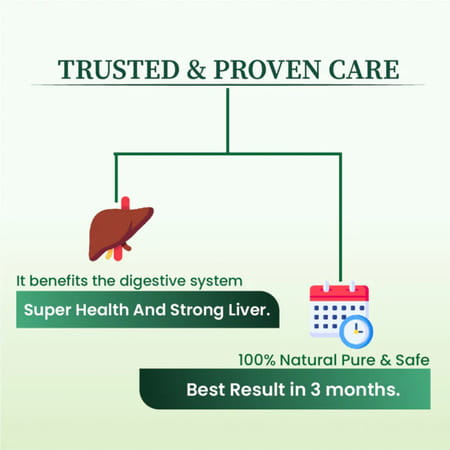 Cipzer Araq E Mako 500ml | Herbal Tonic For Liver & Digestive Health| Inflammation Relief