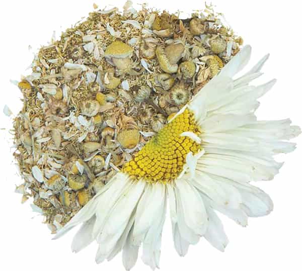 Tea Trunk Chamomile Tea -50G Tin