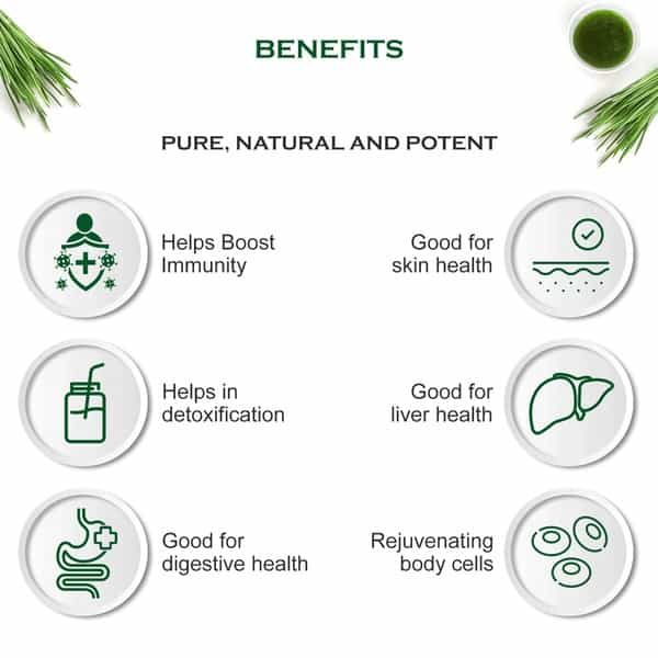 Dabur Wheatgrass Juice - 500Ml
