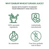 Dabur Wheatgrass Juice - 500Ml